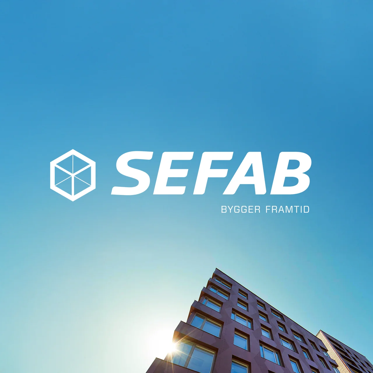 Sefab - logotyp och grafisk formgivning